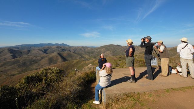 GGRO Hawkwatchers spy the skies from Hawk Hill