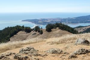 Views toward Bolinas from Willow Camp Fire Road