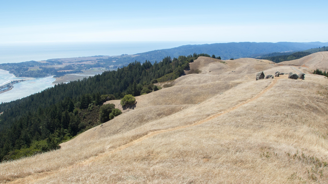 Trail atop Bolinas Ridge