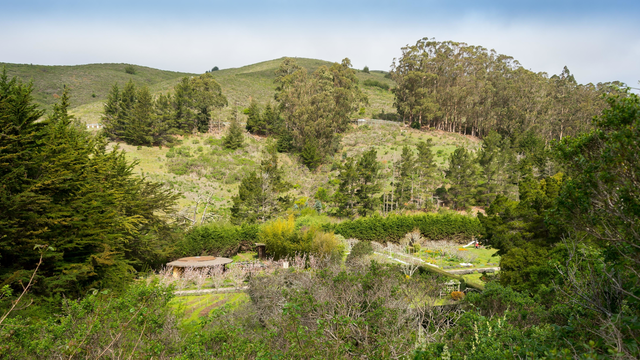 Green Gulch Farm