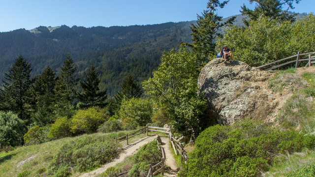 Panoramic Trail meets the Canopy View Trail at this rock