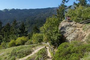 Panoramic Trail meets the Canopy View Trail at this rock