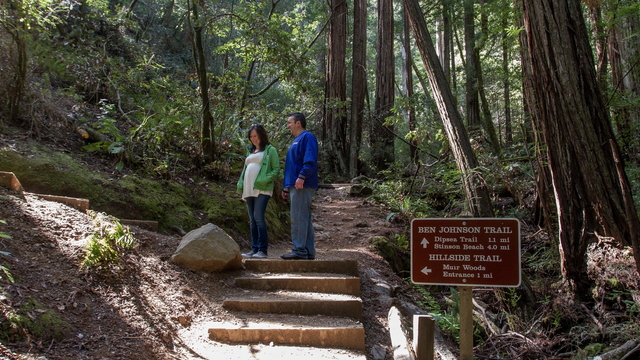Ben Johnson Trail