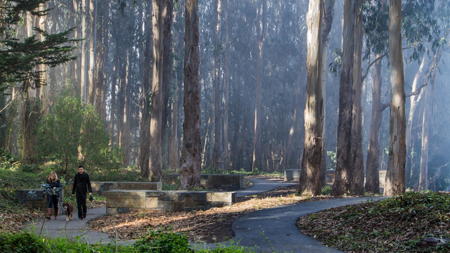 Presidio National Cemetery Overlook