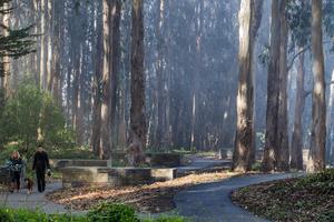 Presidio National Cemetery Overlook
