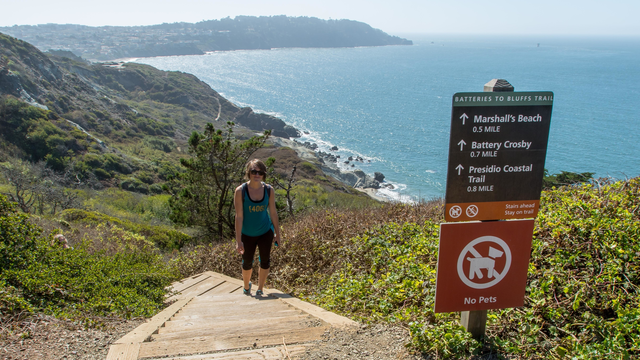 Box steps challenge hikers along the Batteries to Bluffs Trail