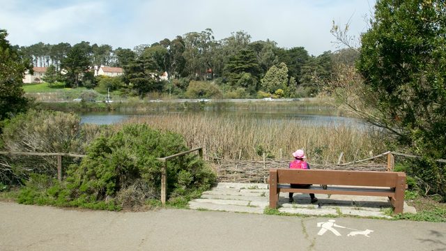 Mountain Lake in the Presidio