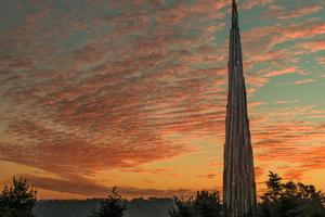 Andy Goldsworthy's "Spire" in the Presidio