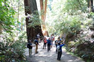 Hikers pause to enjoy the beauty of the Bootjack Trail