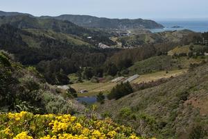 View toward the ocean from Sweeney Ridge