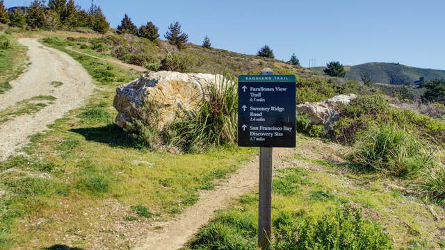 Baquiano Trail up Sweeney Ridge