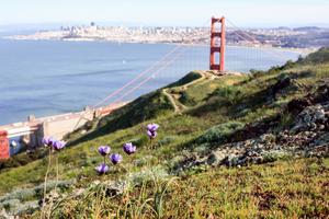 View of the Golden Gate from the Marin Headlands