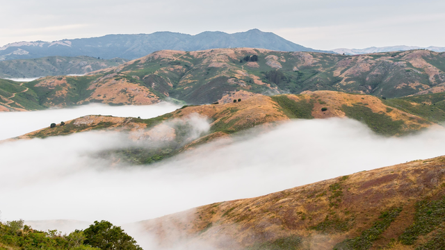 Fog rolls over the Marin Headlands