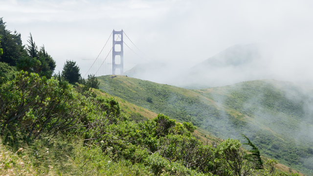 Low clouds cloak the Marin Headlands