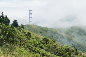 Low clouds cloak the Marin Headlands