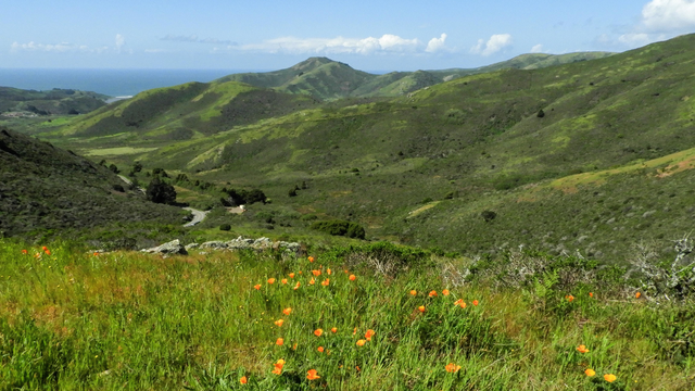 Rodeo Valley