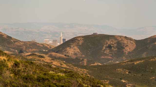 Skyline view from Coyote Ridge Trail