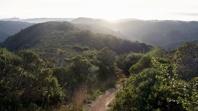 Path winding through Rancho Corral de Tierra