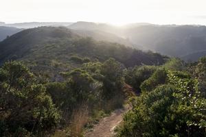 Path winding through Rancho Corral de Tierra