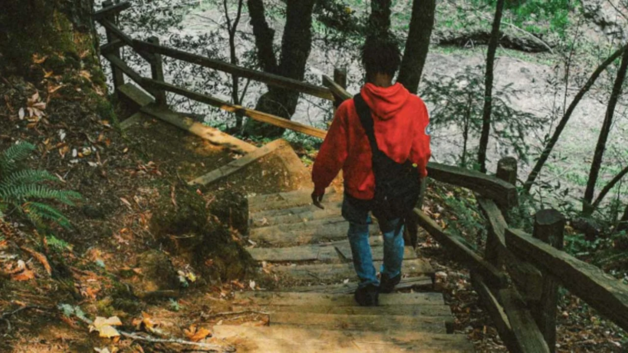 Trail on Mount Tamalpais