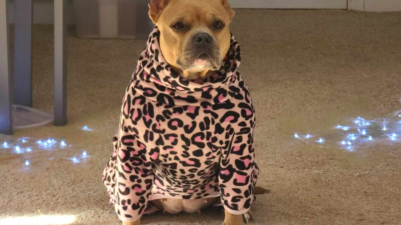Onesie charlie