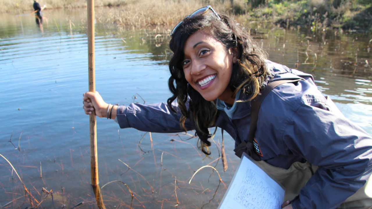 Park Stewardship Program