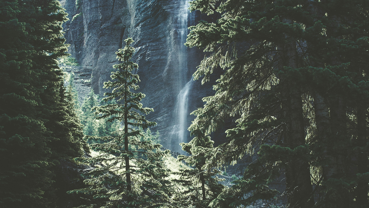 waterfall behind trees