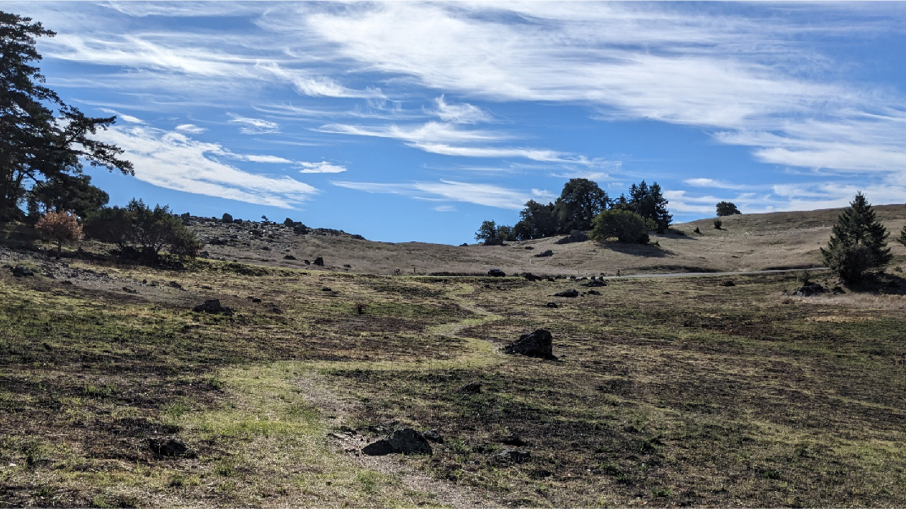 Rock Spring landscape