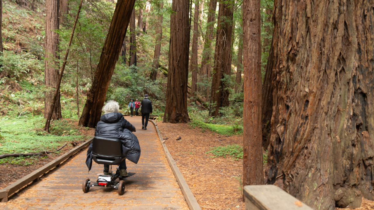A Muir Woods visitor enjoying the accessibility or the wheelchair accessible boardwalk.