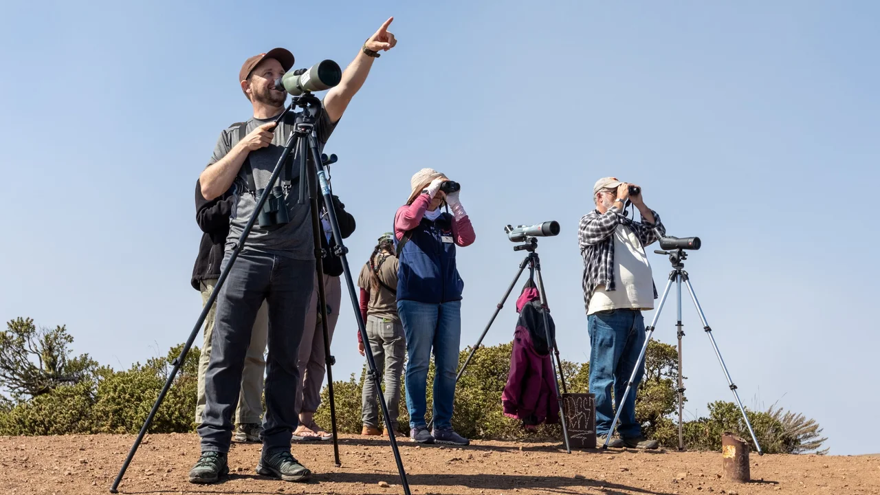 Volunteers gathered on a dirt hilltop against a blue sky, looking through telescopes on tripods. In the foreground one person points up.