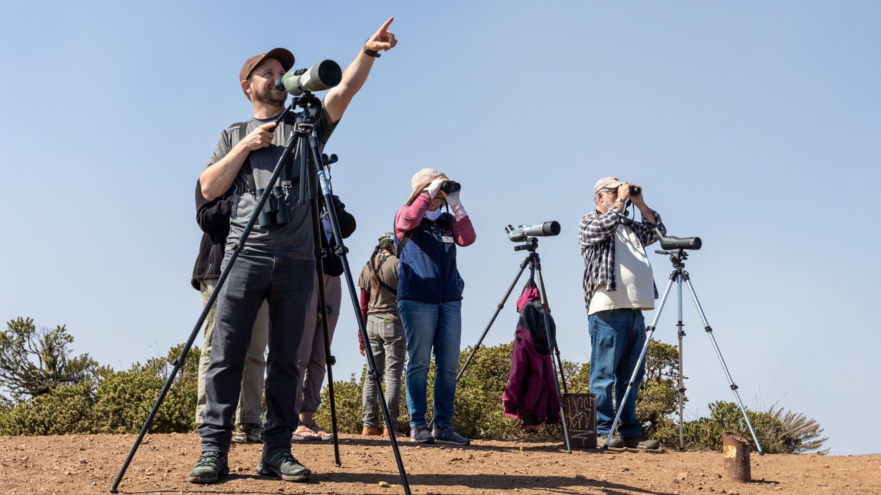 Hawkwatch volunteers sight hawks atop Hawk Hill during their annual fall migration. Volunteers gathered on a dirt hilltop against a blue sky, looking through telescopes on tripods. In the foreground one person points up.