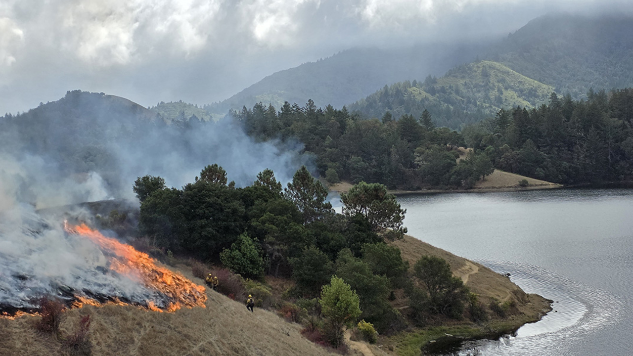 A prescribed burn near Bon Tempe Lake on Mt. Tamalpais.