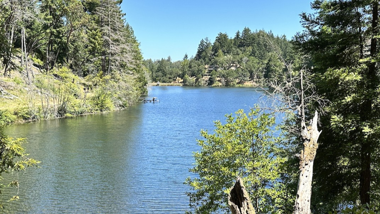 Blue lake flanked on boteh sides by green forest