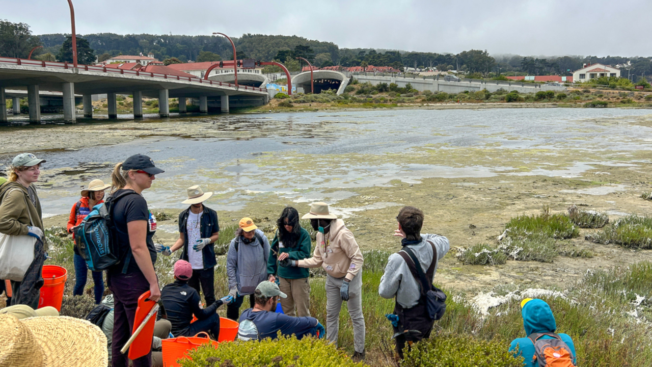 Belonging in Nature volunteers setting up for some habitat stewardship at Quartermaster's Reach in the Presidio of San Francisco.