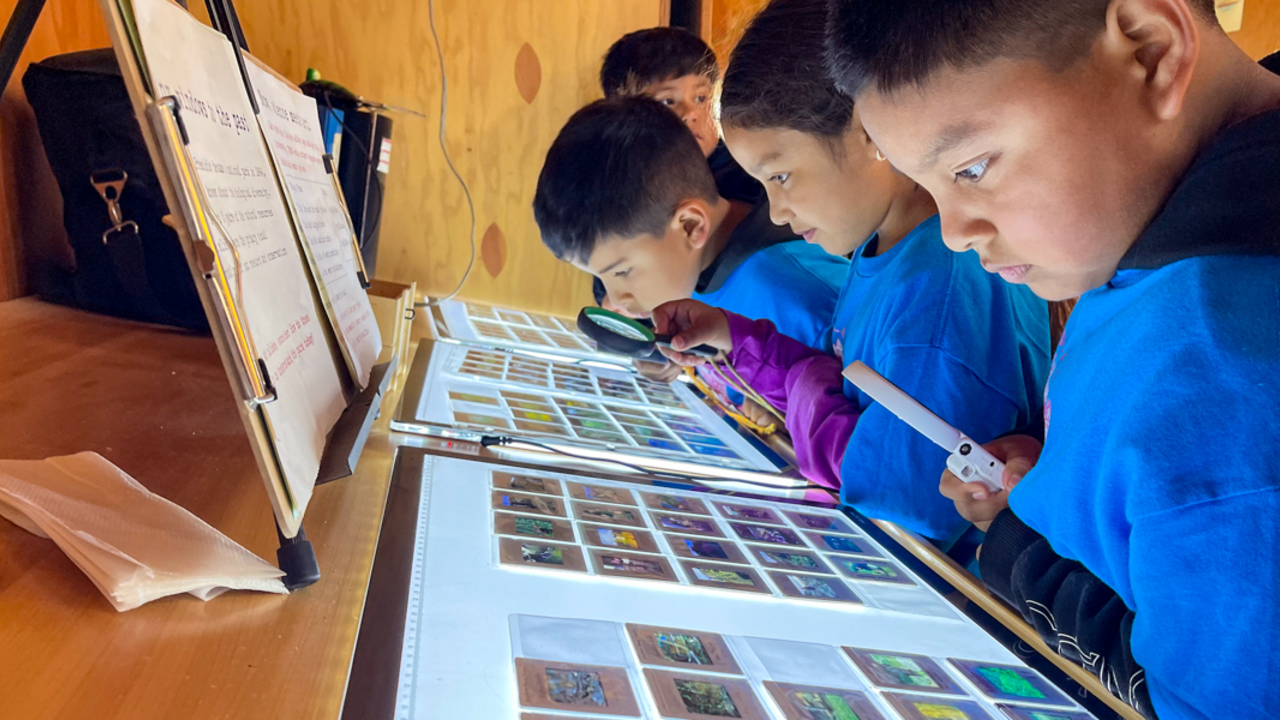 Children look at photo slides on a light table at the Crissy Field Center Field Station in the San Francisco Presidio Tunnel Tops.