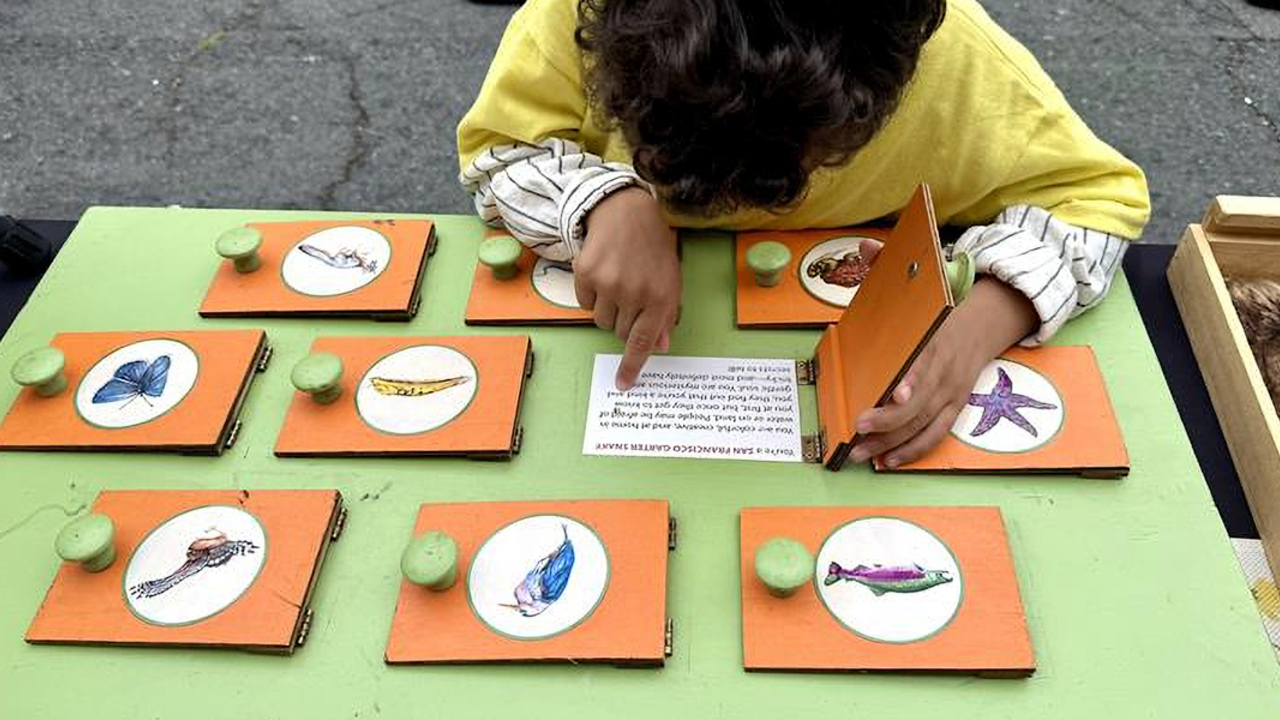 A child interacting with a visual educational display at the Golden Gate National Parks Conservancy Roving Ranger.