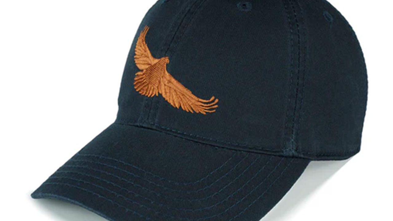 A baseball cap with a hawk logo on it.