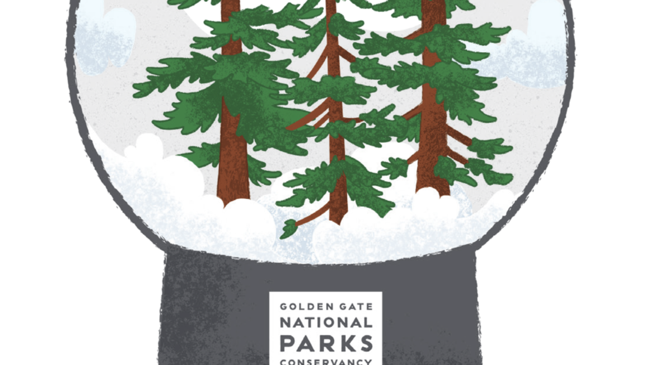 Happy holidays image with snow globe and redwoods