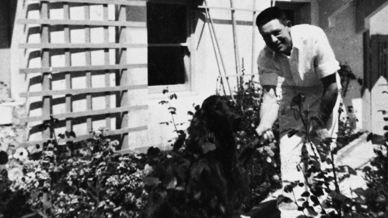 Historical image of a dog on Alcatraz Island. 