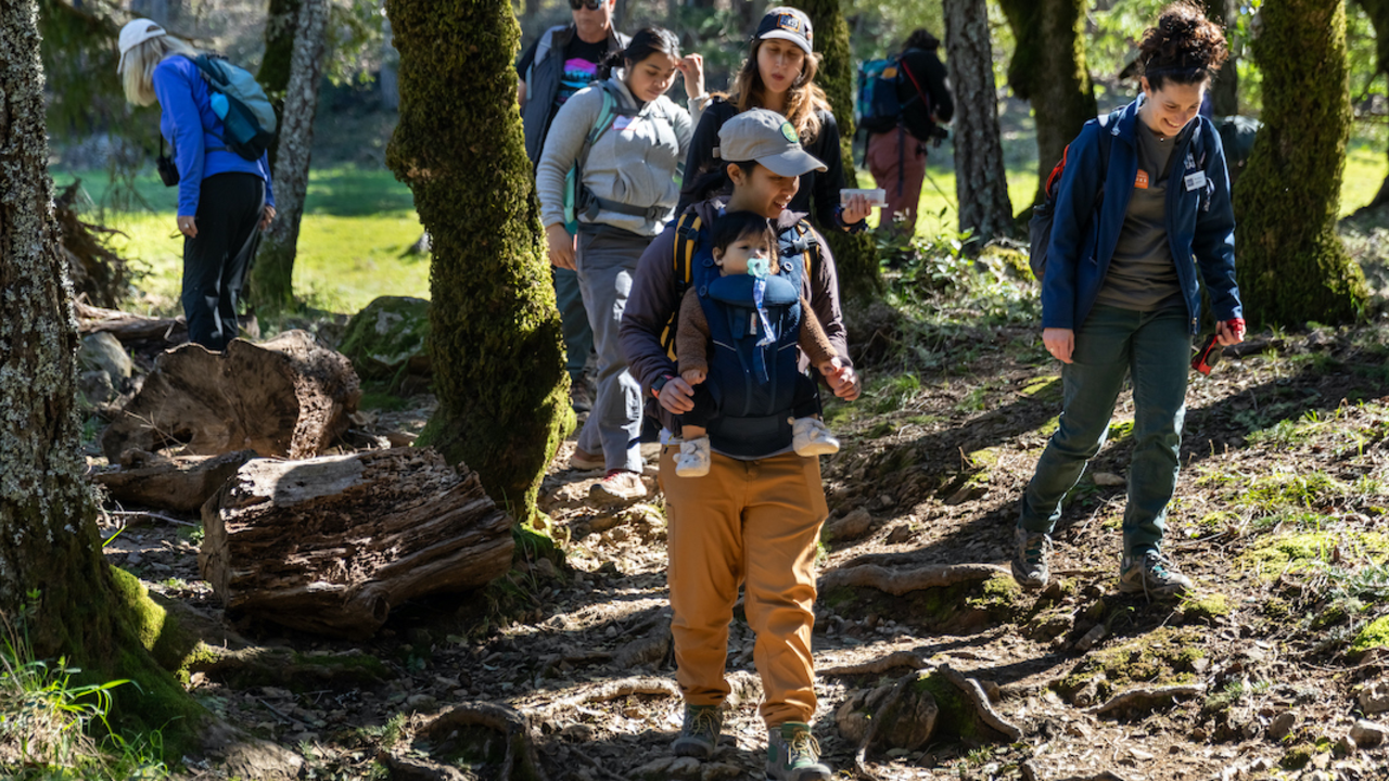 Group hiking on Mt. Tam.