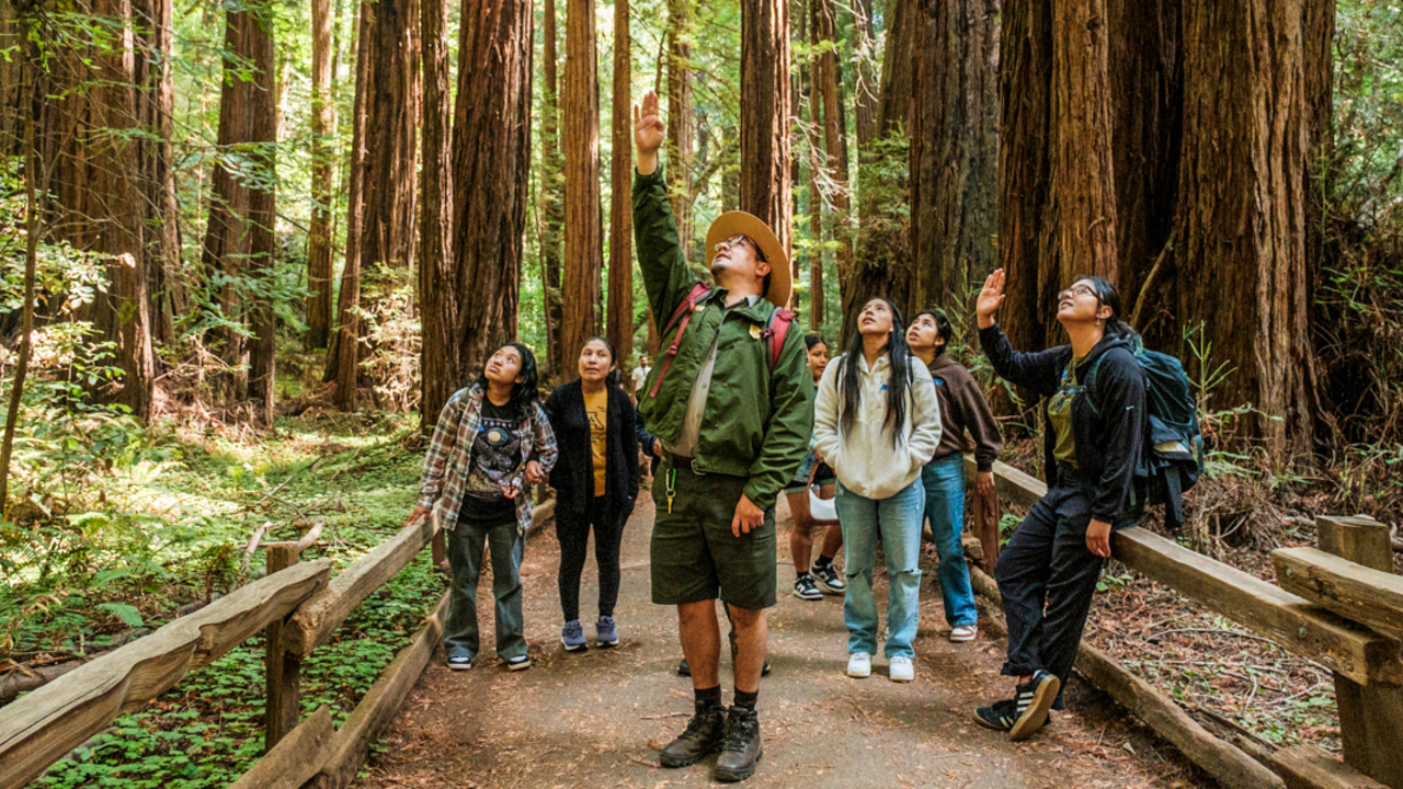A National Parks Service ranger guides a community group along a paved trail in the redwood forest of Muir Woods National Monument.
