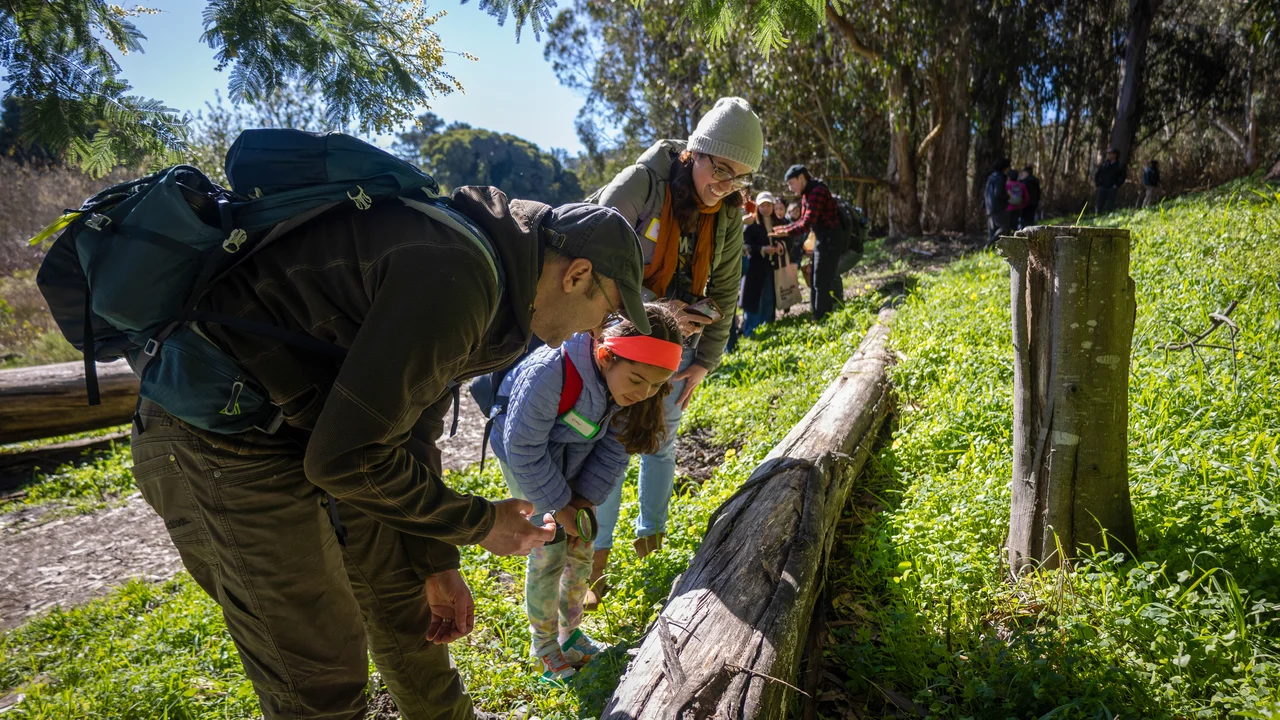 Participants looking at fungi on a log in The Presidio.