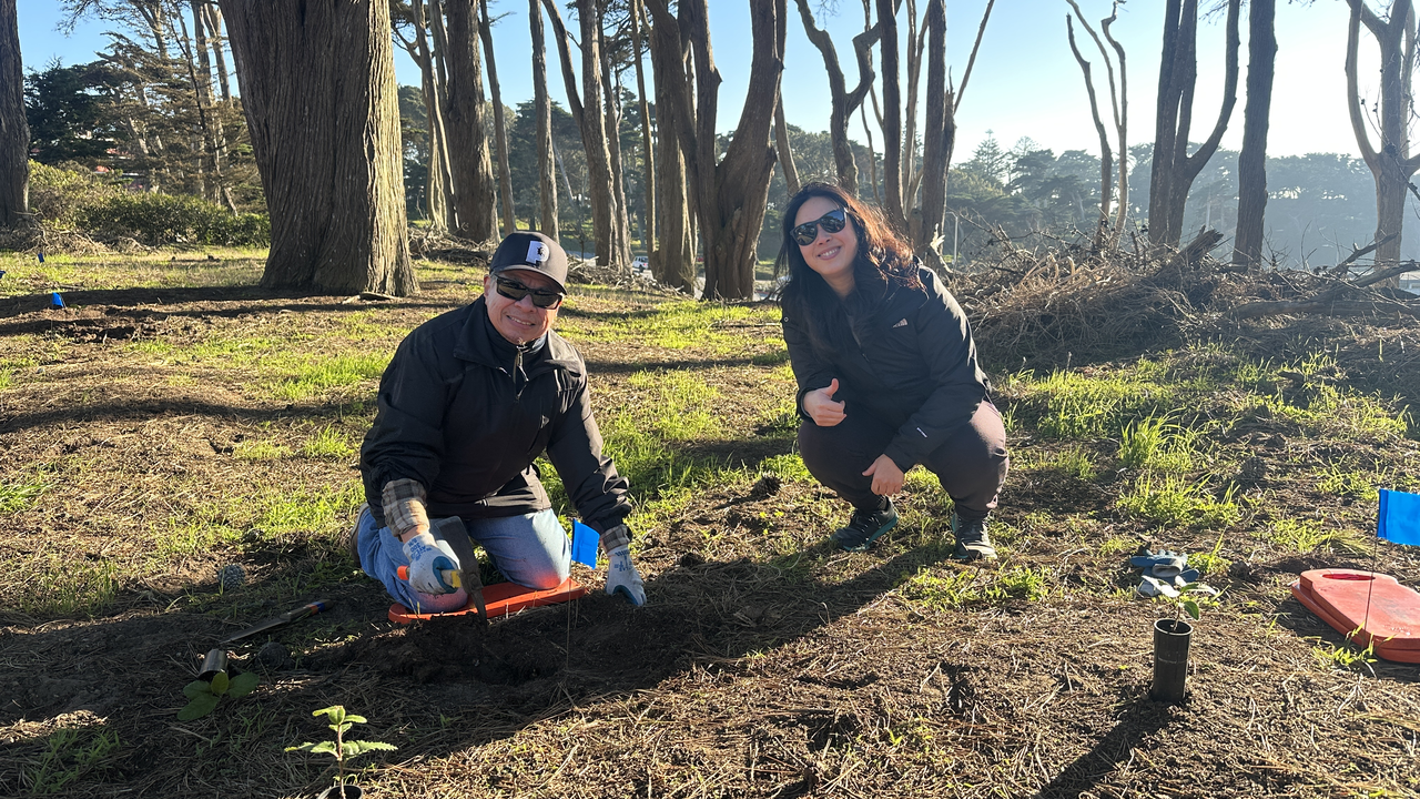 Volunteers planting at Lands End