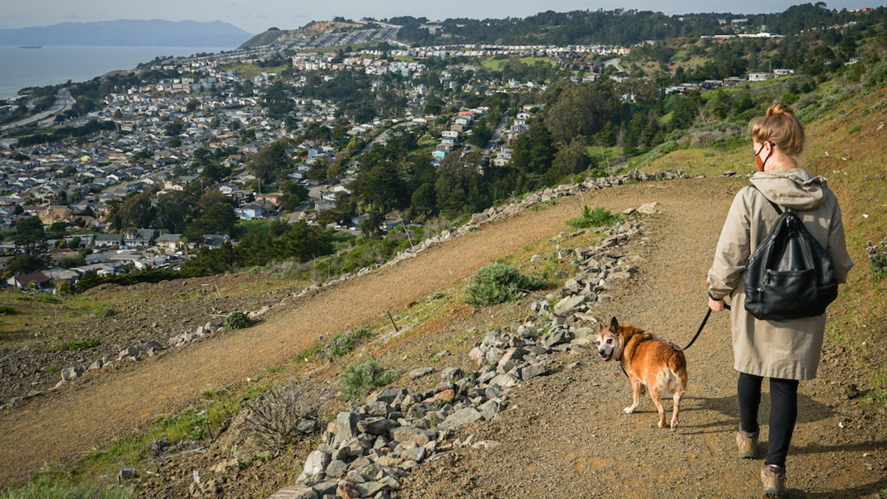 A person walks their dog along Milagra Ridge in San Mateo County.