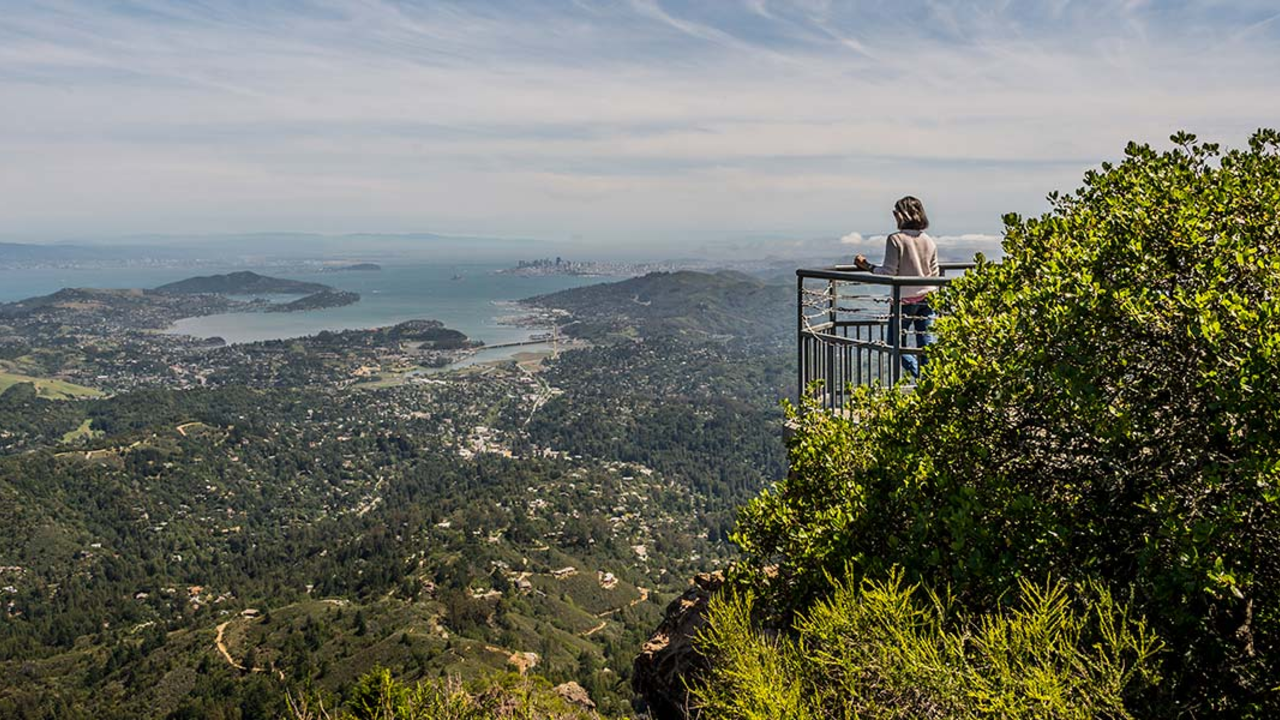 View of Mt. Tamalpais