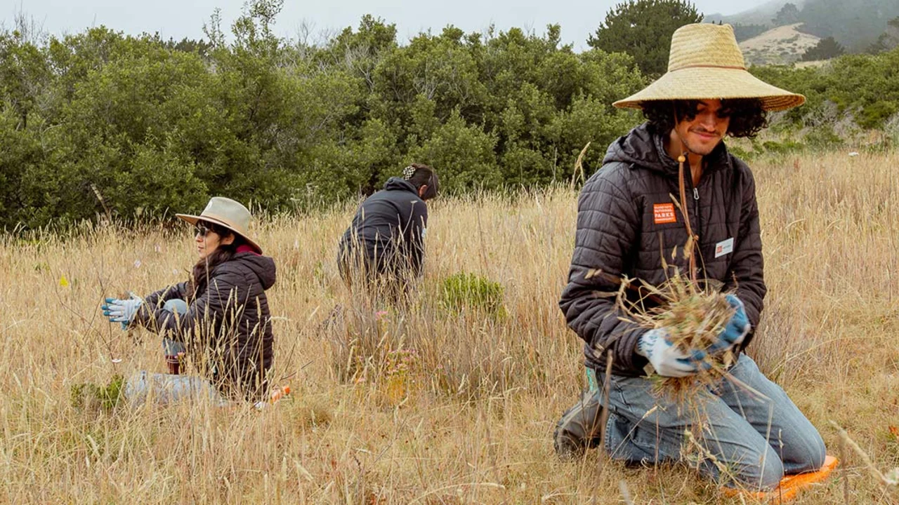 2024 Academic Interns and Community Stewardship & Engagement Fellows in Half Moon Bay doing stewardship and storytelling.