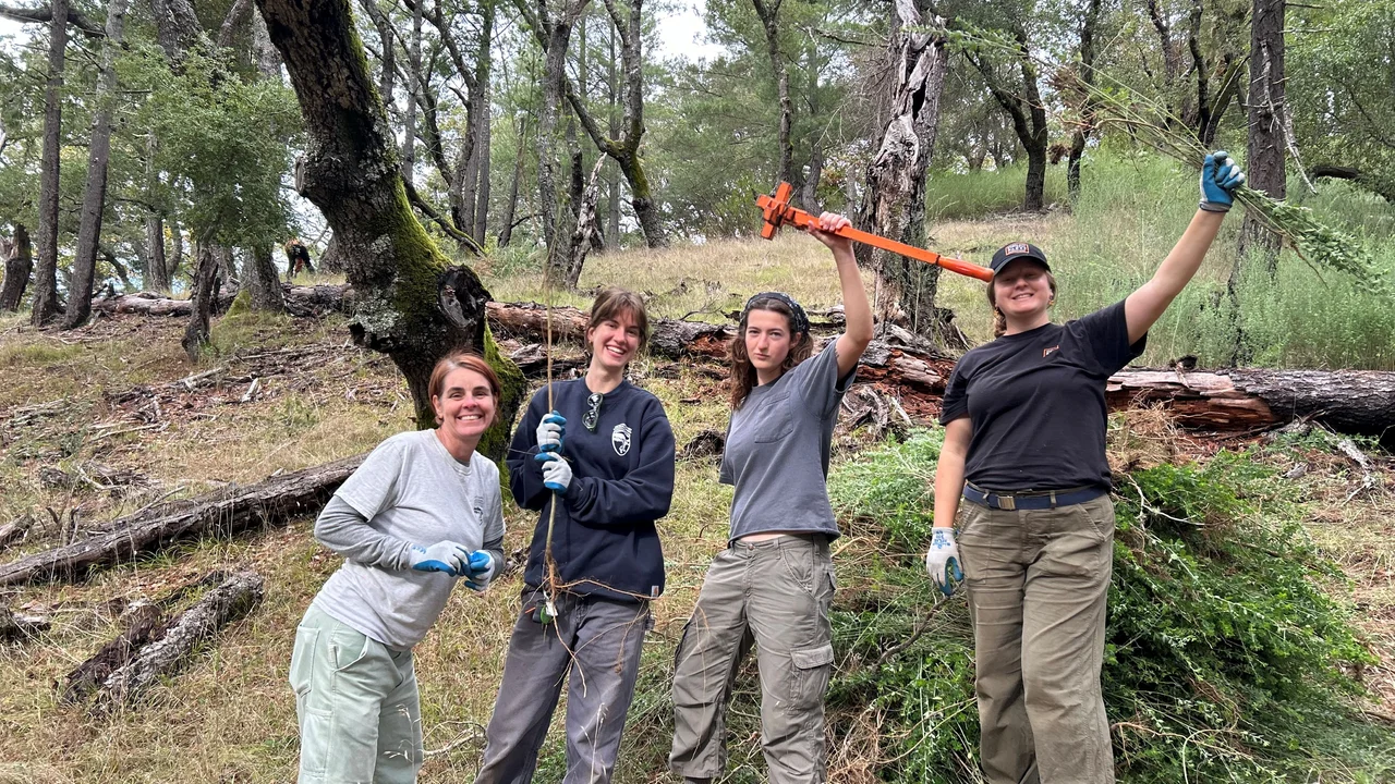 Marin Water, Conservancy Staff and community volunteer at habitat restoration day on Mt. Tam