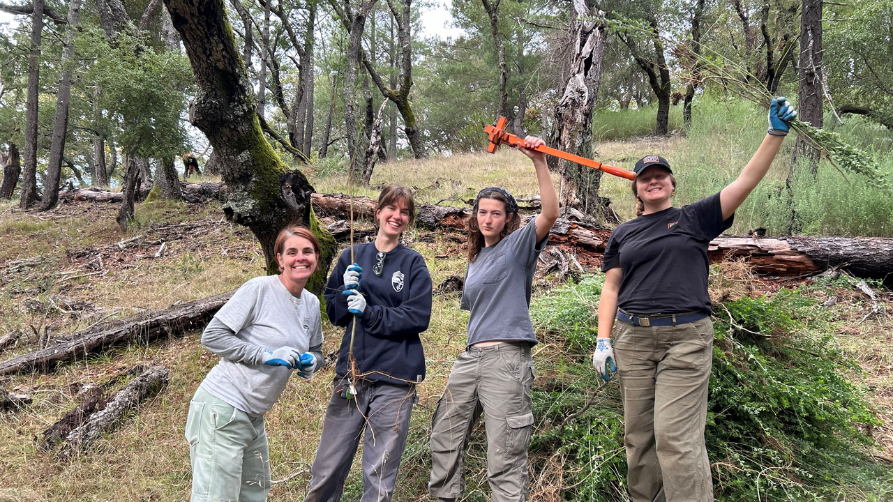 Marin Water, Conservancy Staff and community volunteer at habitat restoration day on Mt. Tam