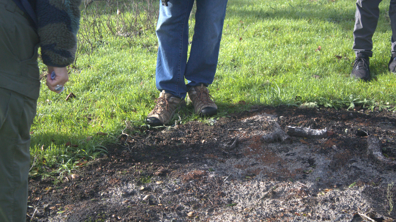 Community member observes burn scar after recent prescribed burn at Bon Tempe Lake