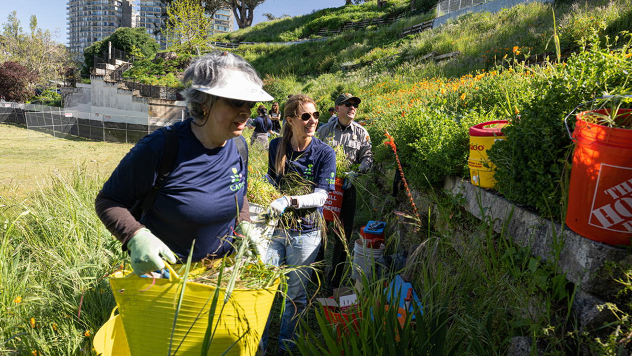 Volunteers remove grasses at Black Point Historic Gardens.